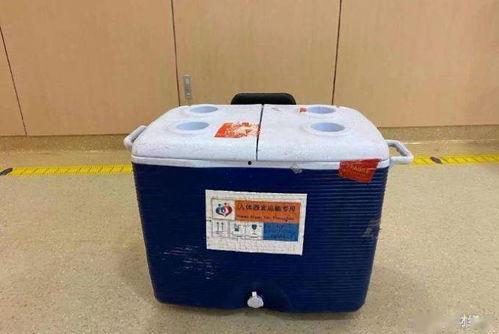 观光爆料箱视频大全,揭秘热门景点背后的故事与趣闻 第1张 观光爆料箱视频大全,揭秘热门景点背后的故事与趣闻 第1张