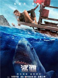 鲨滩完整版在线观看,惊心动魄的生存挑战,在线观看完整版 第1张 鲨滩完整版在线观看,惊心动魄的生存挑战,在线观看完整版 第1张