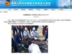 新船员最新爆料新闻事件,揭秘海上惊险事件背后的真相 第1张 新船员最新爆料新闻事件,揭秘海上惊险事件背后的真相 第1张