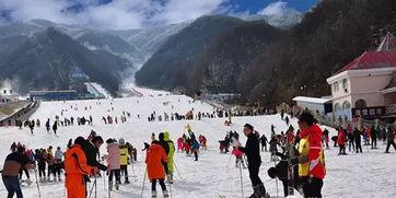 洛阳滑雪场爆料视频最新,冰雪奇缘体验开启! 第1张 洛阳滑雪场爆料视频最新,冰雪奇缘体验开启! 第1张